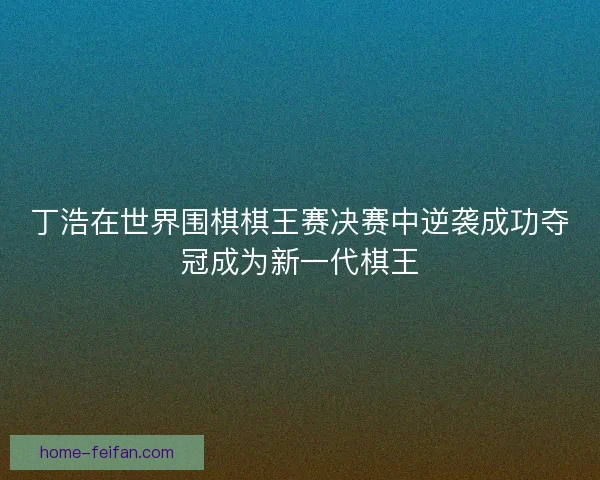 丁浩在世界围棋棋王赛决赛中逆袭成功夺冠成为新一代棋王 丁浩在世界围棋棋王赛决赛中逆袭成功夺冠成为新一代棋王