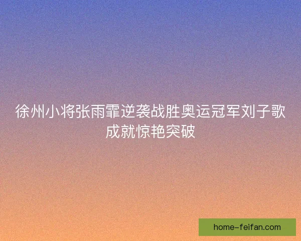 徐州小将张雨霏逆袭战胜奥运冠军刘子歌成就惊艳突破