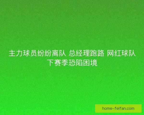主力球员纷纷离队 总经理跑路 网红球队下赛季恐陷困境